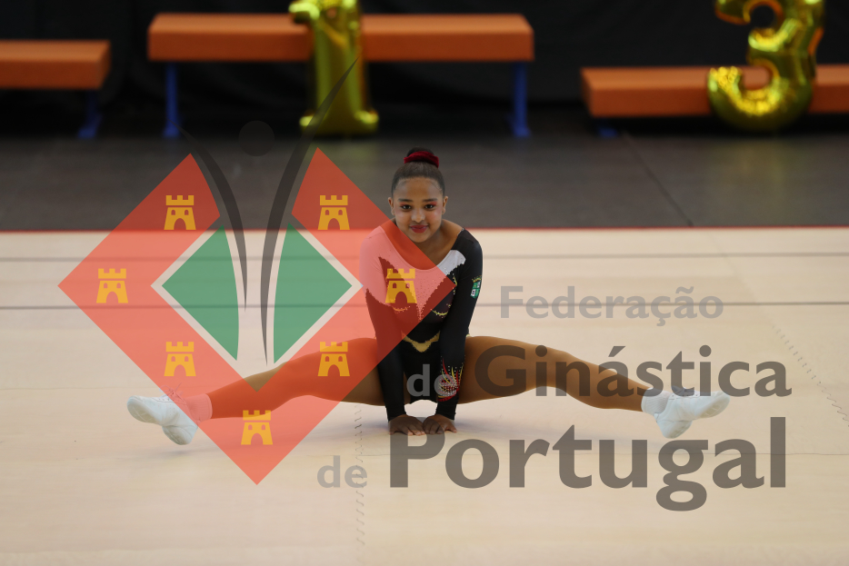 1034_Taça de Portugal AER